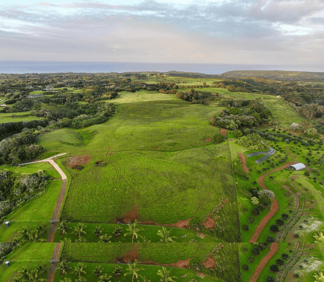 Hard Money Loan for Vacant Land in Kilauea, Hawaii